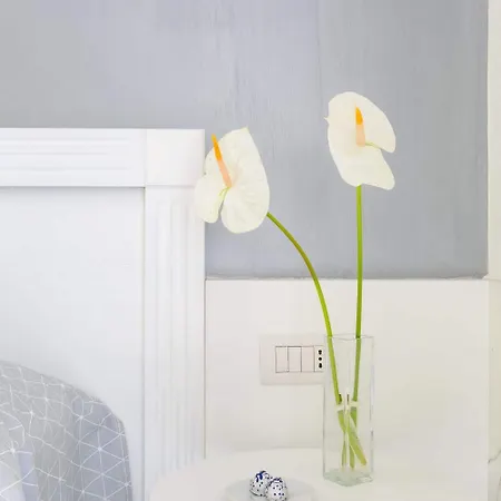 게스트하우스 Little Aurelius 로마