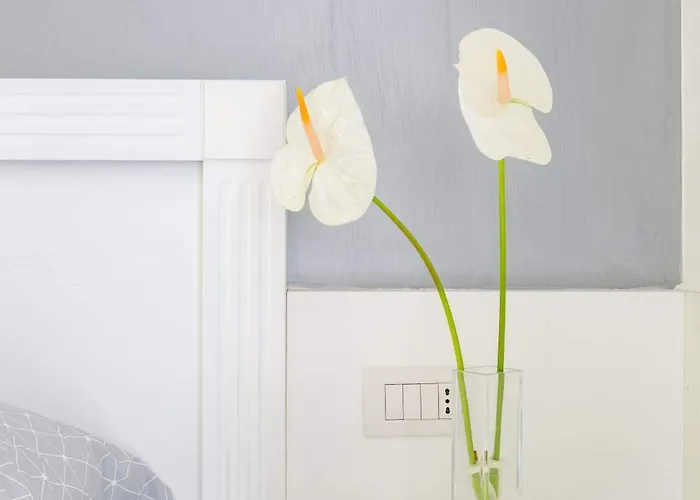 Konukevi Little Aurelius Roma